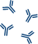 Pathogenic antibodies contribute to demyelination and axonal damage