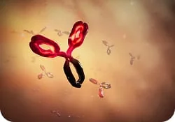 Autoantibodies image