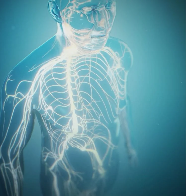 Overview mechanism diagram